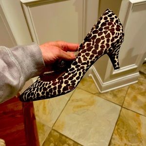 Vince Camuto leopard kitten heals